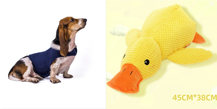 Calming Quacking Duck Toy for Dogs