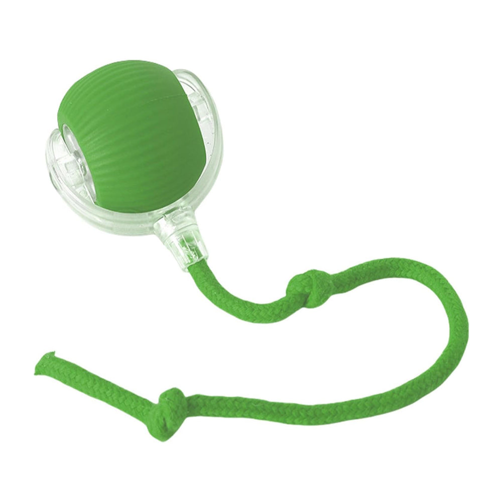 Interactive Rolling Cat Ball