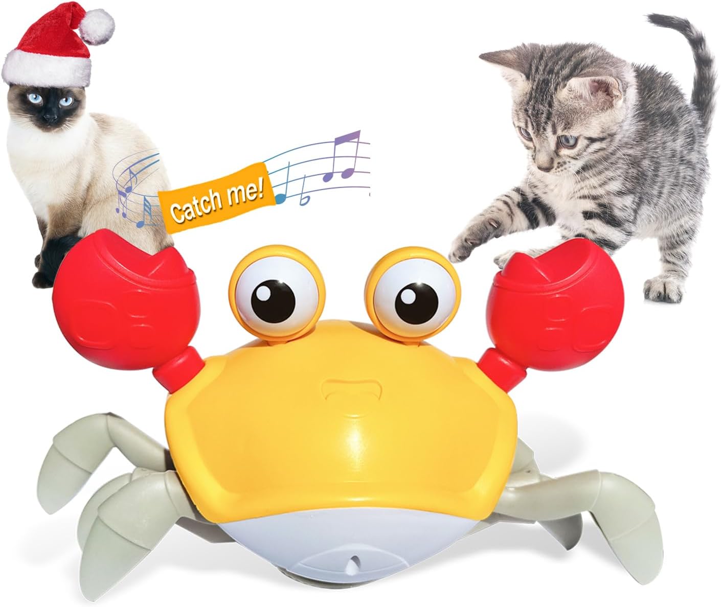 Escaping Crab Dog Toy