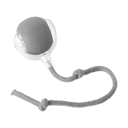 Interactive Rolling Cat Ball